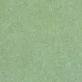 Forbo Marmoleum Fresco 2,5мм 3882