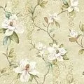York Charlotte TB4203