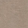 Rasch Mandalay 474138