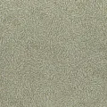 Rasch Varvara 920437