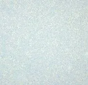 жидкие Silk Plaster Master Silk МС-119