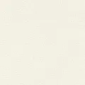 Rasch Andy Wand 650501