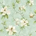 York Charlotte TB4205
