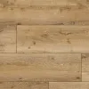 Arteo 8 XL Дуб Накуру 54813