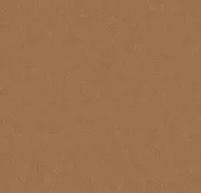BN Grand Safari 220505
