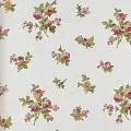 York Casabella II LY4314