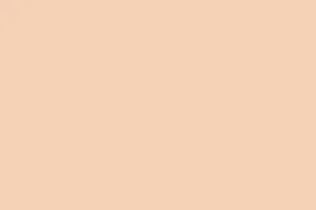 Silk Plaster Общестроительные краски PRIME COLOR Краска Резиновая PRO 10-02 Слоновая кость 2,5 л 
