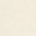 Rasch Andy Wand 458015