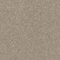 Rasch Composition 554519