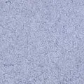жидкие Silk Plaster Арт Дизайн 234