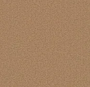 BN Grand Safari 220522