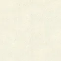 Rasch Jolly 970135
