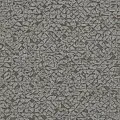 Rasch Kalahari 704358