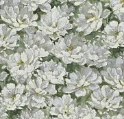 Rasch Varvara 920123