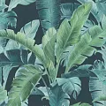 Rasch Barbara Home Collection II 536690