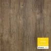 Tarkett Artisan Дуб Орсе Модерн