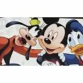 York Disney 2 DS7807BD