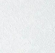 NC Antivandal 4010-31 (2488-17)