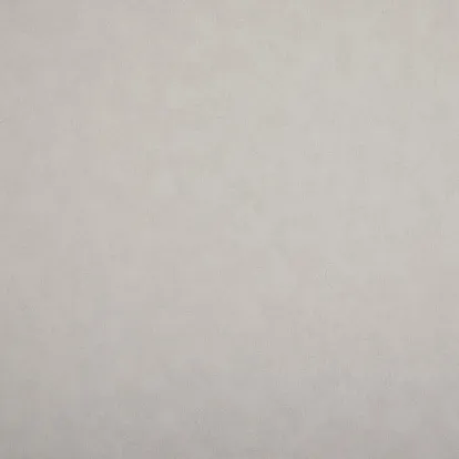 Обои NC Color 4050-050