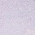жидкие Silk Plaster Арт Дизайн 269