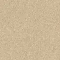 Rasch Composition 554533