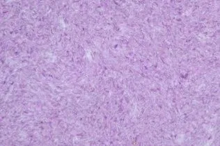 жидкие Silk Plaster Арт Дизайн 271