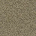 Rasch Kalahari 704365