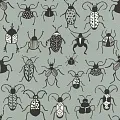 Rasch Stories 552973