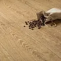 Kronopol Aurum Gusto Safron Oak D3493