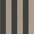 Rasch Poetry II 542769
