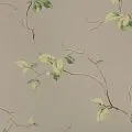 York Casabella II BA4548