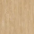 IVC Next Royal Oak 282