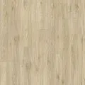 IVC Lay Red EIR Sierra Oak 58268